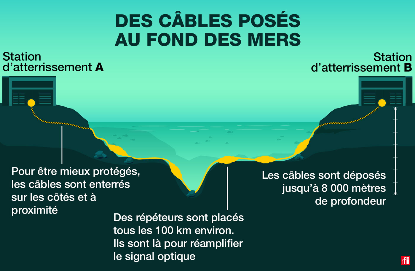 infographie fonds marins